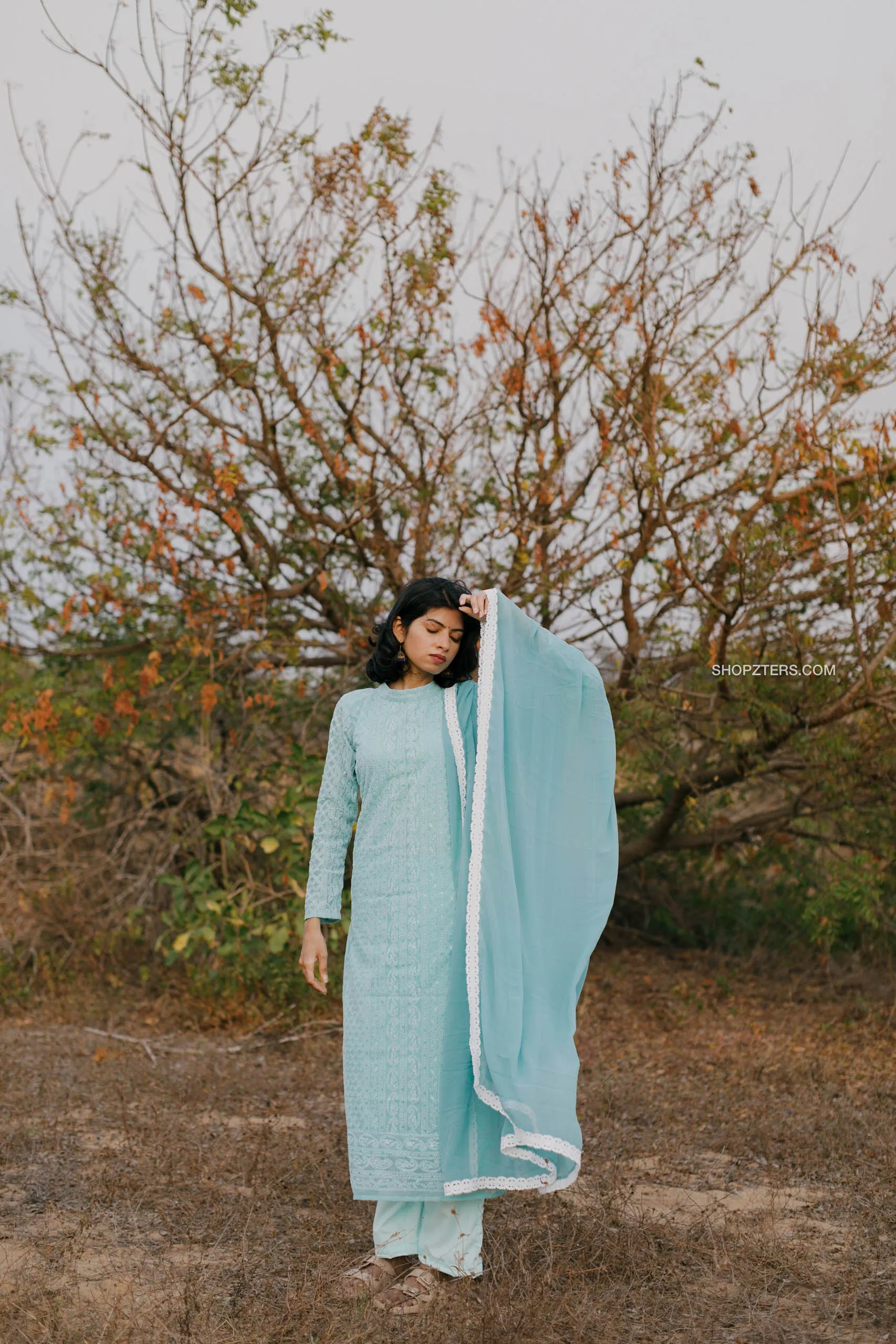 Powder Blue Chikankari Georgette Salwar Suit